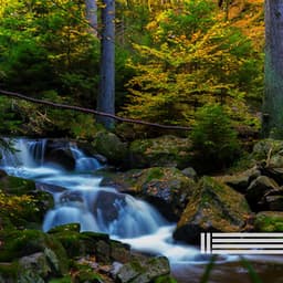 Sounds Of Waterfall In The Wild - Water Sounds