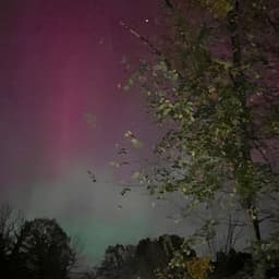 Breathing Space - Musical Mandalas