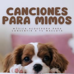 Canciones Para Mimos: Música Acogedora Para Consentir A Tu Mascota - Música ambiental relajante