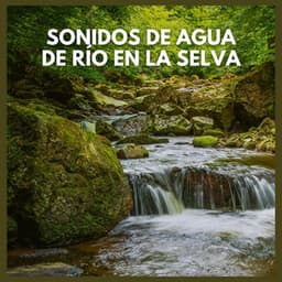 Sonidos de Agua de Río en la Selva - Sonidos De La Selva