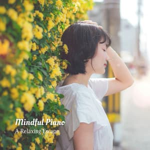 Mindful Piano: A Relaxing Escape - Piano Dreamers