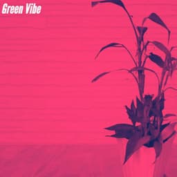 Green Vibe - Classy Cafe Jazz Music