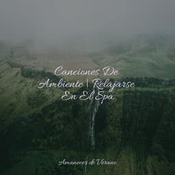 Canciones De Ambiente | Relajarse En El Spa - Canciones Para Niños