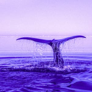 10 Waves: Between The Coasts - Ocean Sounds