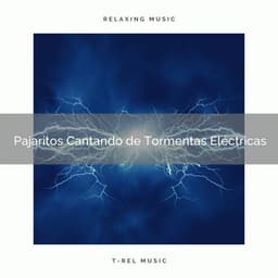 1 Pajaritos Cantando de Tormentas Eléctricas - Academia de Música con Sonidos de la Naturaleza
