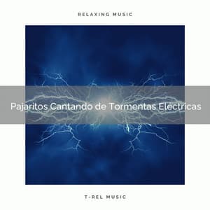 1 Pajaritos Cantando de Tormentas Eléctricas - Academia de Música con Sonidos de la Naturaleza