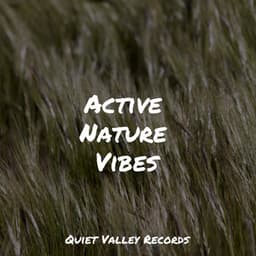 Active Nature Vibes - Rain Sounds Rain