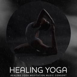 Healing Yoga - Healing Yoga Meditation Music Consort