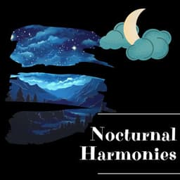 Nocturnal Harmonies - Night Sounds Channel