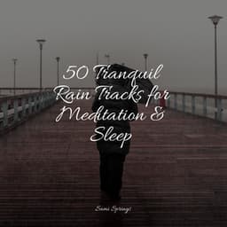 50 Tranquil Rain Tracks for Meditation & Sleep - Children's Music