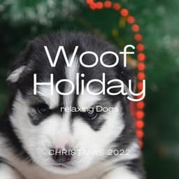 3 2 1 Woof Holiday - Chill My Pooch