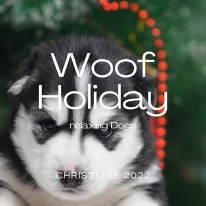 3 2 1 Woof Holiday - Chill My Pooch