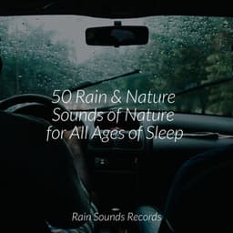 50 Rain & Nature Sounds of Nature for All Ages of Sleep - Meeresrauschen