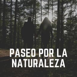 Paseo por la Naturaleza - Sonidos de la Naturaleza para Dormir