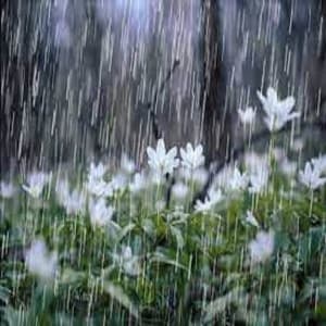The Gentle Rain and Angry Thunderstorms for Background Sounds and Natural White Noise - Help Sleep