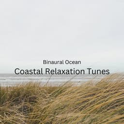 Binaural Ocean: Coastal Relaxation Tunes - Solfeggio Frequencies 528Hz