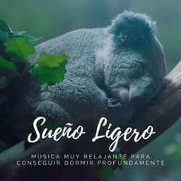 Sueño Ligero: Música muy Relajante para Conseguir Dormir Profundamente - Sueño Profundo