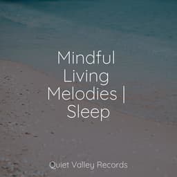 Mindful Living Melodies | Sleep - The Rain Library