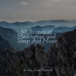 50 Sounds of Meditation and Sleep Aid Music - Relaxing Music