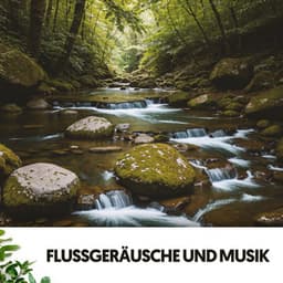Flüsse und Bäche: Melodien des fließenden Stroms - Dog Relaxation