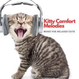 Kitty Comfort Melodies: Music For Relaxed Cats - Cat Music Relaxation