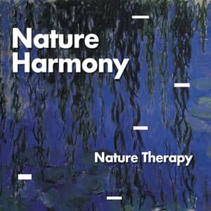 Nature Harmony - Nature Therapy