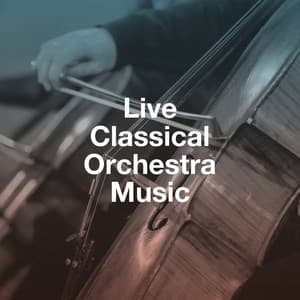 Live Classical Orchestra Music - London Concert Orchestra