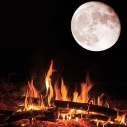 Embers in Reverie: Nocturnal Fire Lullabies - Nature Sounds XLE Library