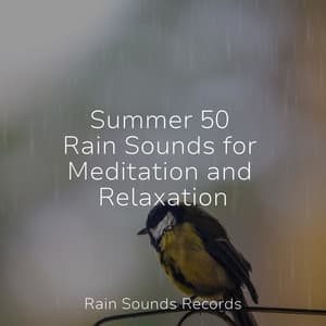 Summer 50 Rain Sounds for Meditation and Relaxation - Zen Music Garden