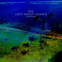 200 Calm Beach Oceans - Beach Sounds