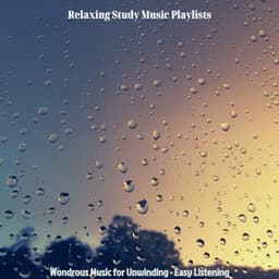 Wondrous Music for Unwinding - Easy Listening - Relaxing Study Music Playlists