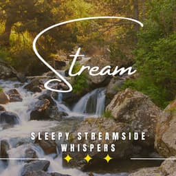 Tranquil Streamside Slumber: Binaural Sleep by the Waterside - Sleepy Night Music