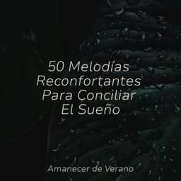 50 Melodías Reconfortantes Para Conciliar El Sueño - Children's Music