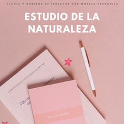 Estudio De La Naturaleza: Lluvia Y Sonidos De Insectos Con Música Tranquila - Relajarse Lluvia