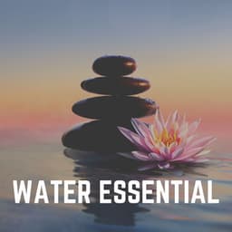 Water Essential - Water Meditations