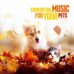 Comforting Music for Your Pets: Dog and Cat Friendly Music - Thanael Wendtura