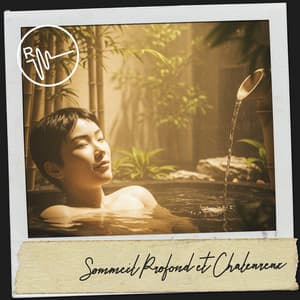 Sommeil Profond et Chaleureux: Serenade Endormie - Dog Relaxation