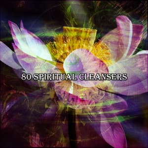 80 Spiritual Cleansers - White Noise Meditation