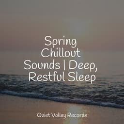 Spring Chillout Sounds | Deep, Restful Sleep - Serenity Spa Music Relaxation