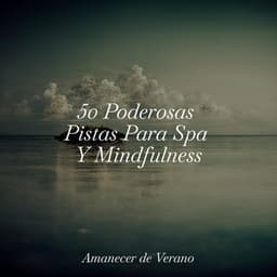 50 Poderosas Pistas Para Spa Y Mindfulness - Musica Relajante Specialistas & Musica Relajante