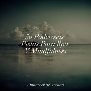 50 Poderosas Pistas Para Spa Y Mindfulness - Musica Relajante Specialistas & Musica Relajante