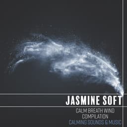 Calm Breath Wind Compilation: Calming Sounds & Music, ASMR Wind Edition - Natural Sounds Music Academy