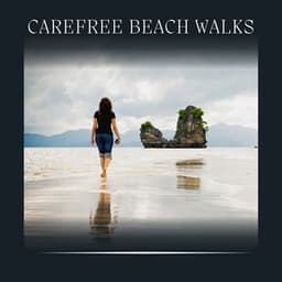 Carefree Beach Walks - Dreamstatician