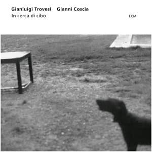 In Cerca Di Cibo - Gianluigi Trovesi