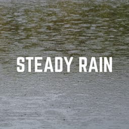 Steady Rain - Rain FX