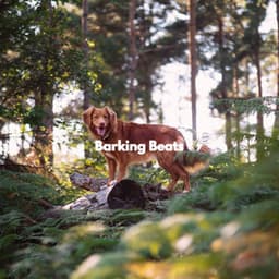 Barking Beats - Smooth Jazz Bar Lounge Session