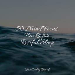 50 Mind Focus Tracks for Restful Sleep - Rain Hard