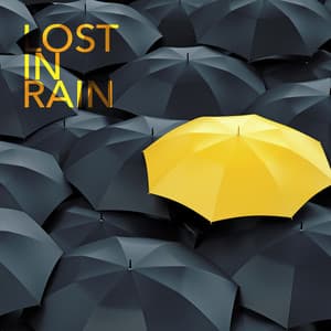 Lost in Rain - Rain Sounds Nature Collection