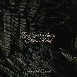 Zen Spa Music, Stress Relief - Meditation