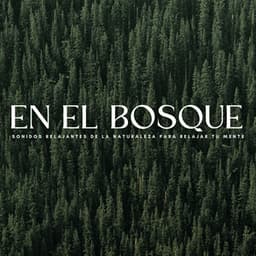 En El Bosque: Sonidos Relajantes De La Naturaleza Para Relajar Tu Mente - Naturaleza y Sonidos Fondos